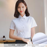 女白色平纹短袖15720（白色正装)